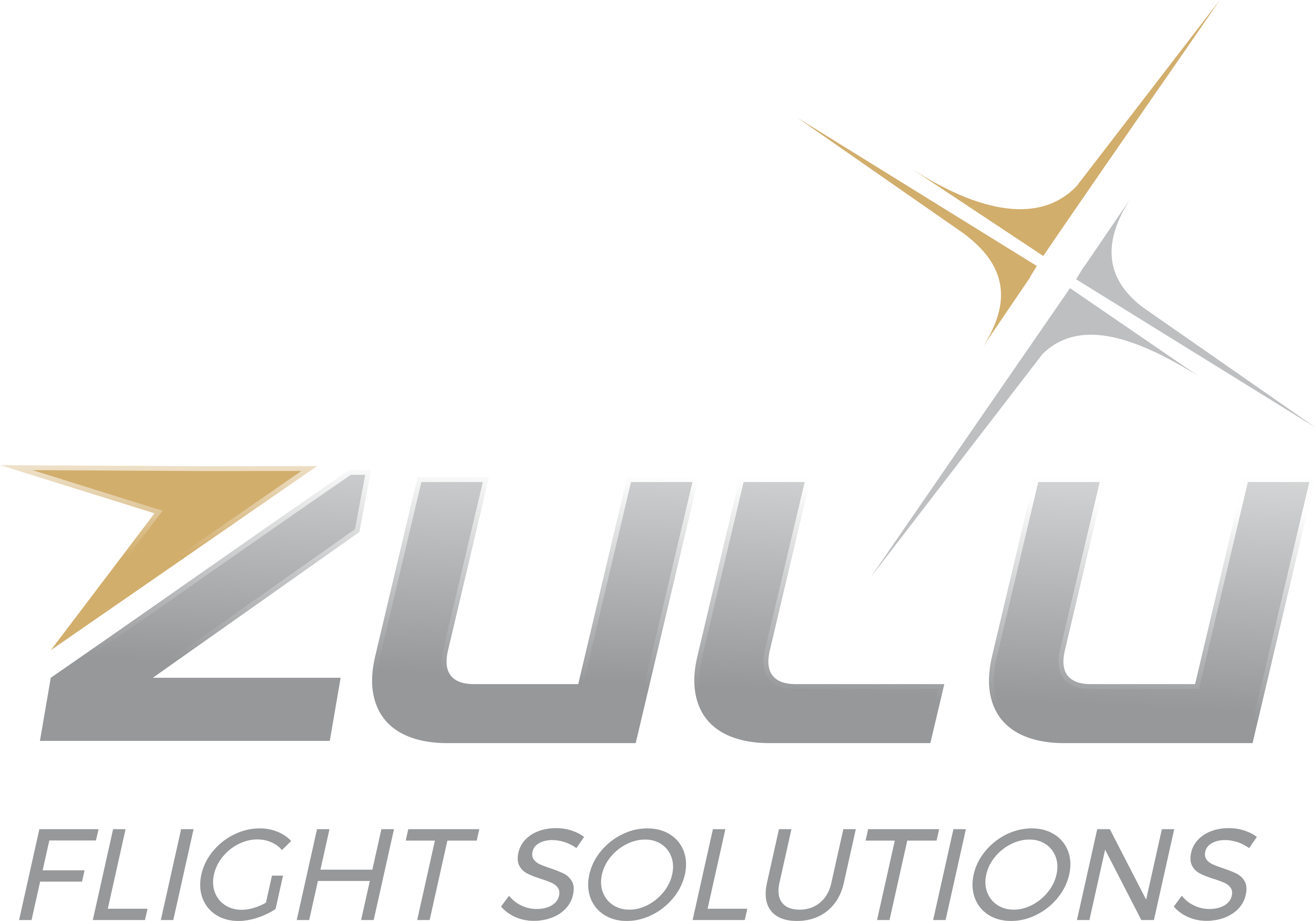 Logo ZULU